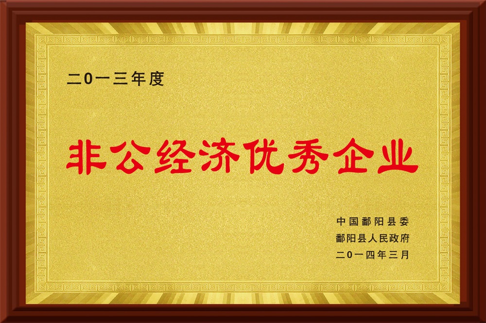 非公经济优秀企业